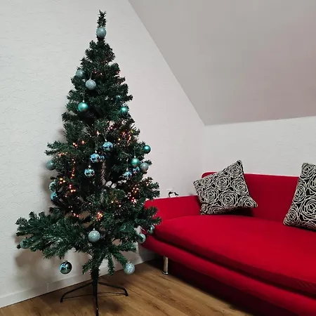 Apartament Schoene In